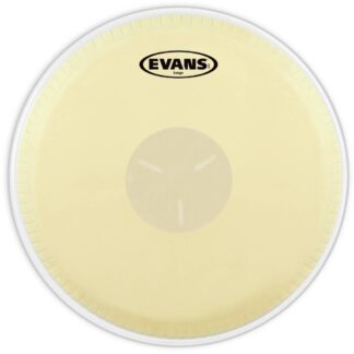 EVANS EB07 7 1/4˝ opna za bongo