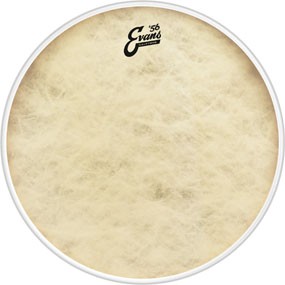 EVANS BD24CT Calftone 24˝ opna za bas boben