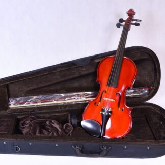 PIERRE MARIN AMADEUS 3/4 violina komplet