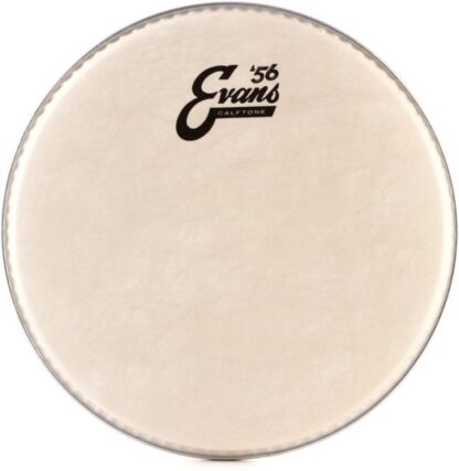 EVANS TT10C7 Calftone 10" opna za tom