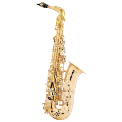 LECHGOLD LAS-20L SAXSOFON