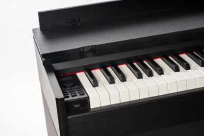 ARAMIUS APO-150 MBK Black digitalni klavir - Image 2